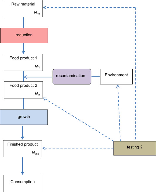 Fig. 2.  Flow chart representing the processes that should be under control for safe food production, and their typical place in food production. The concentrations in the products can change due to reduction, recontamination and growth, as explained in the main text.